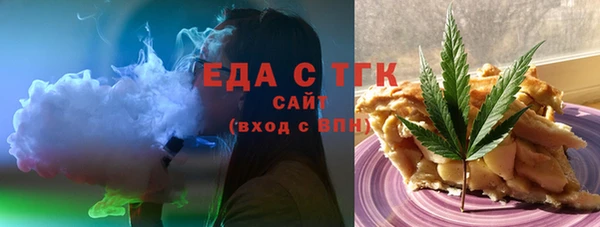 шишки Гусиноозёрск
