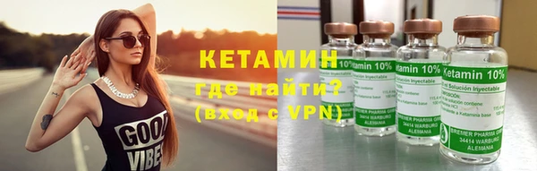 шишки Гусиноозёрск