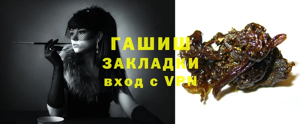 шишки Гусиноозёрск
