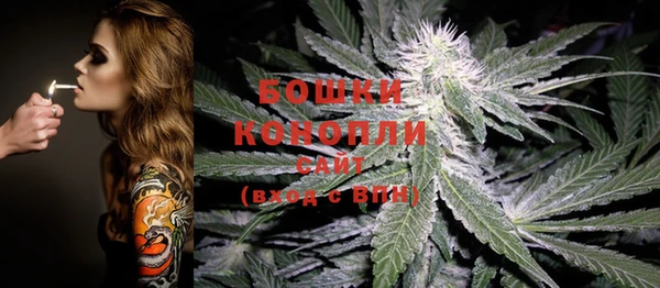 марки lsd Горняк