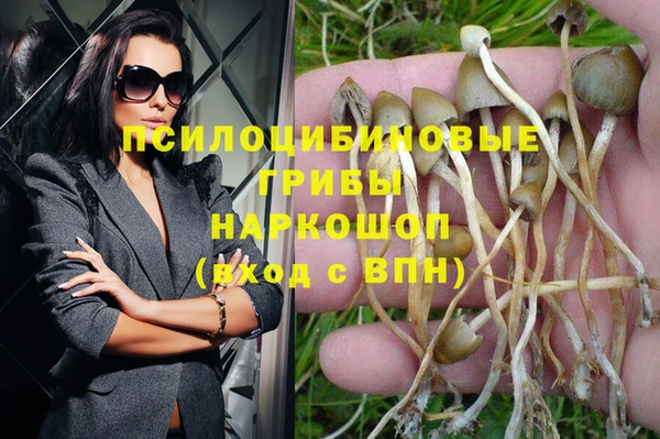 2c-b Гусь-Хрустальный