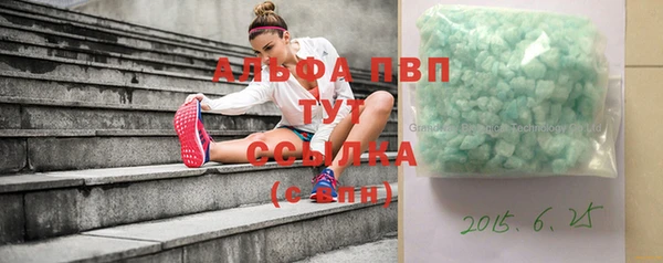 шишки Гусиноозёрск