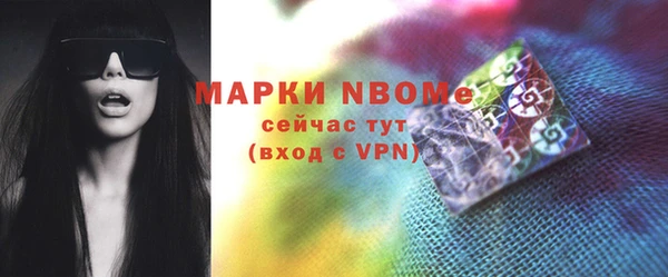 шишки Гусиноозёрск